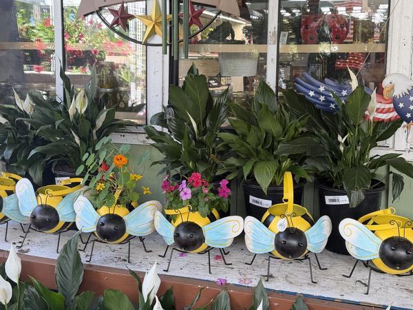 Peace lilies and garden decor by the welcome door