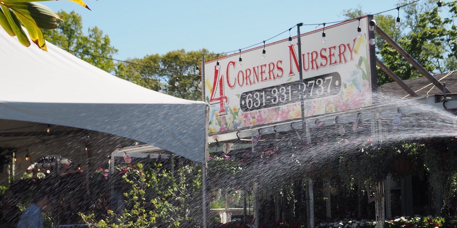 A sprinkler watering the flower benches under the 4 Corners Nursery sign
