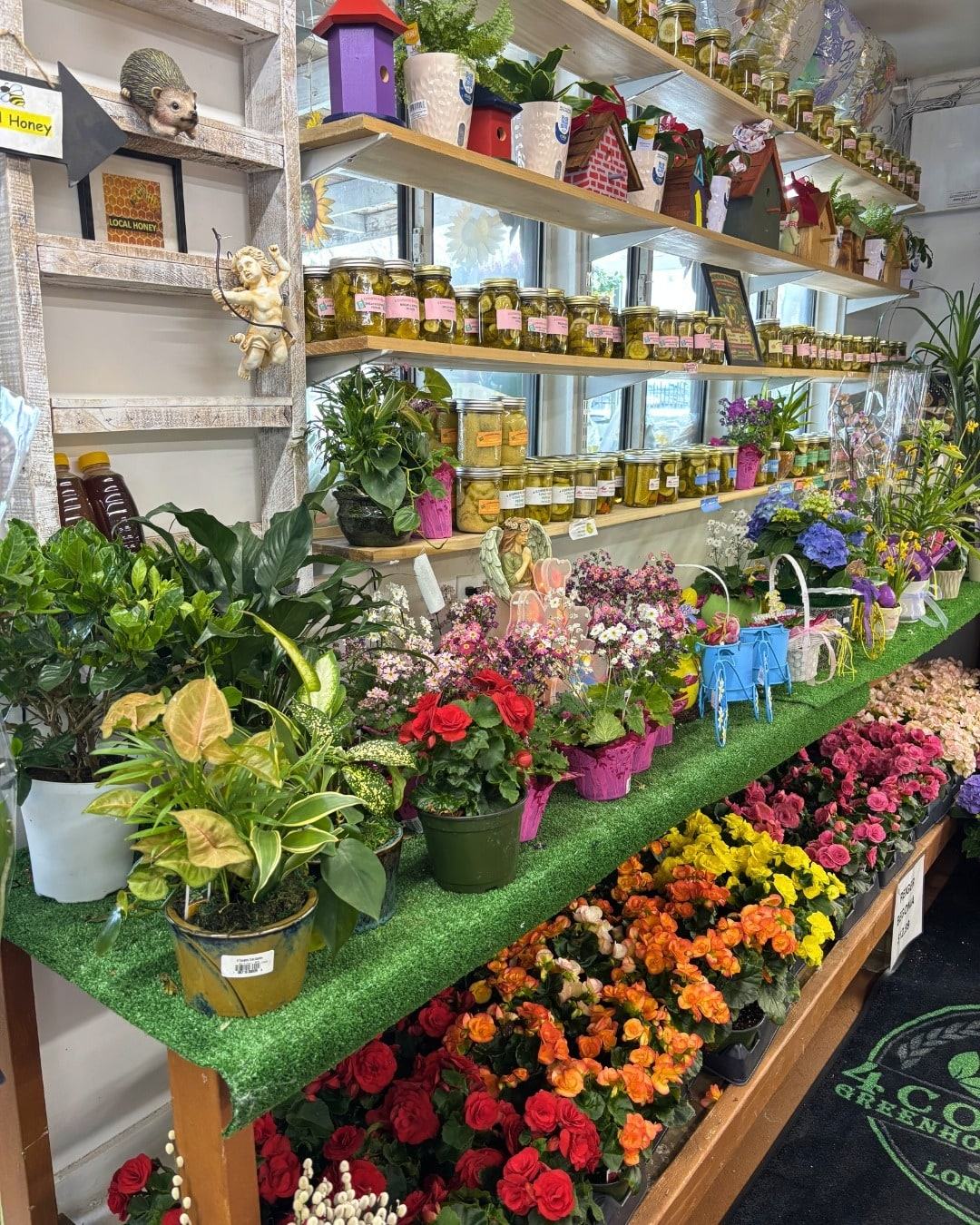 Shelves of houseplants and spring flowers inside the store