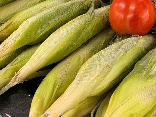 Ears of fresh corn next to a ripe tomato